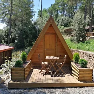 Camping La Ribera Salada, Ogern